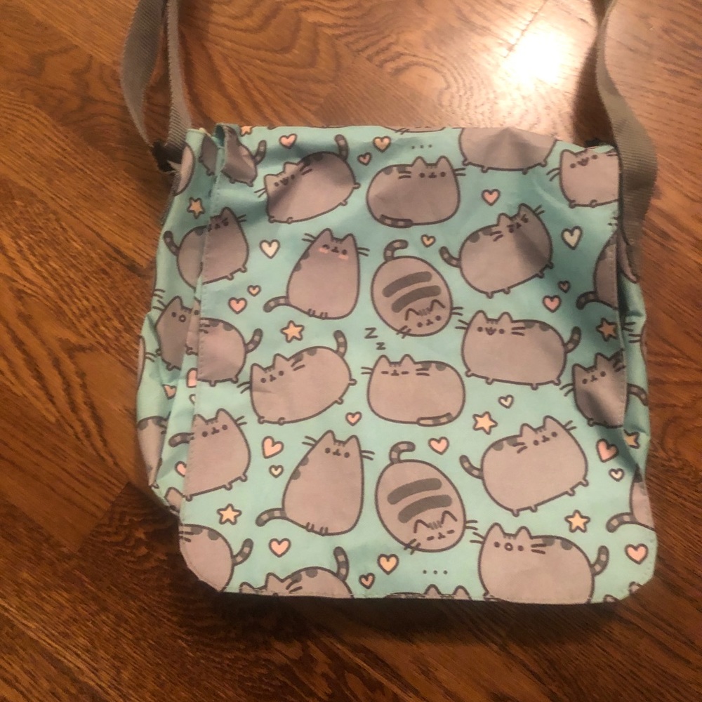Awesome Pusheen messenger bag!